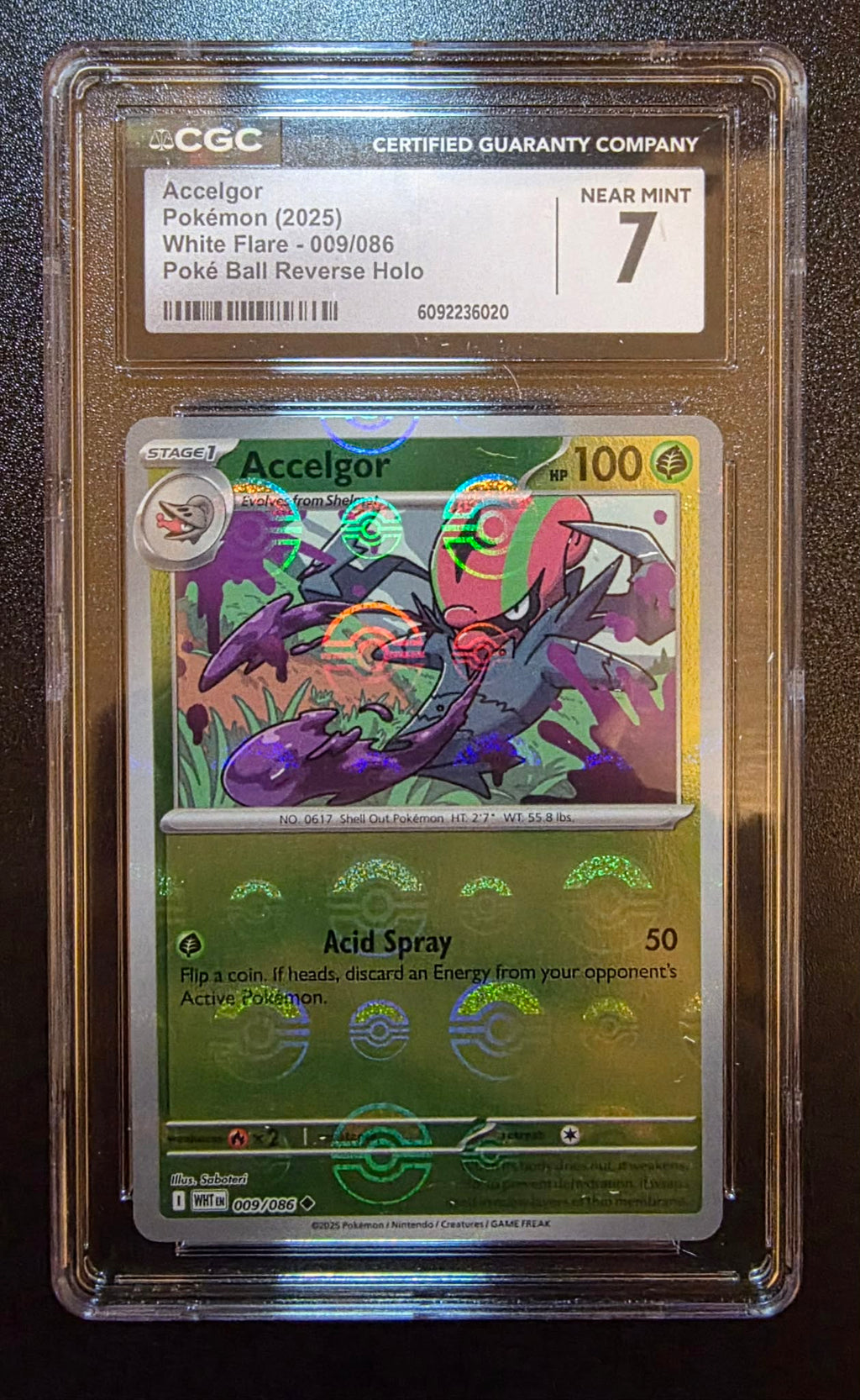 Accelgor, White Flare 009/086, Poke Ball Reverse Holo