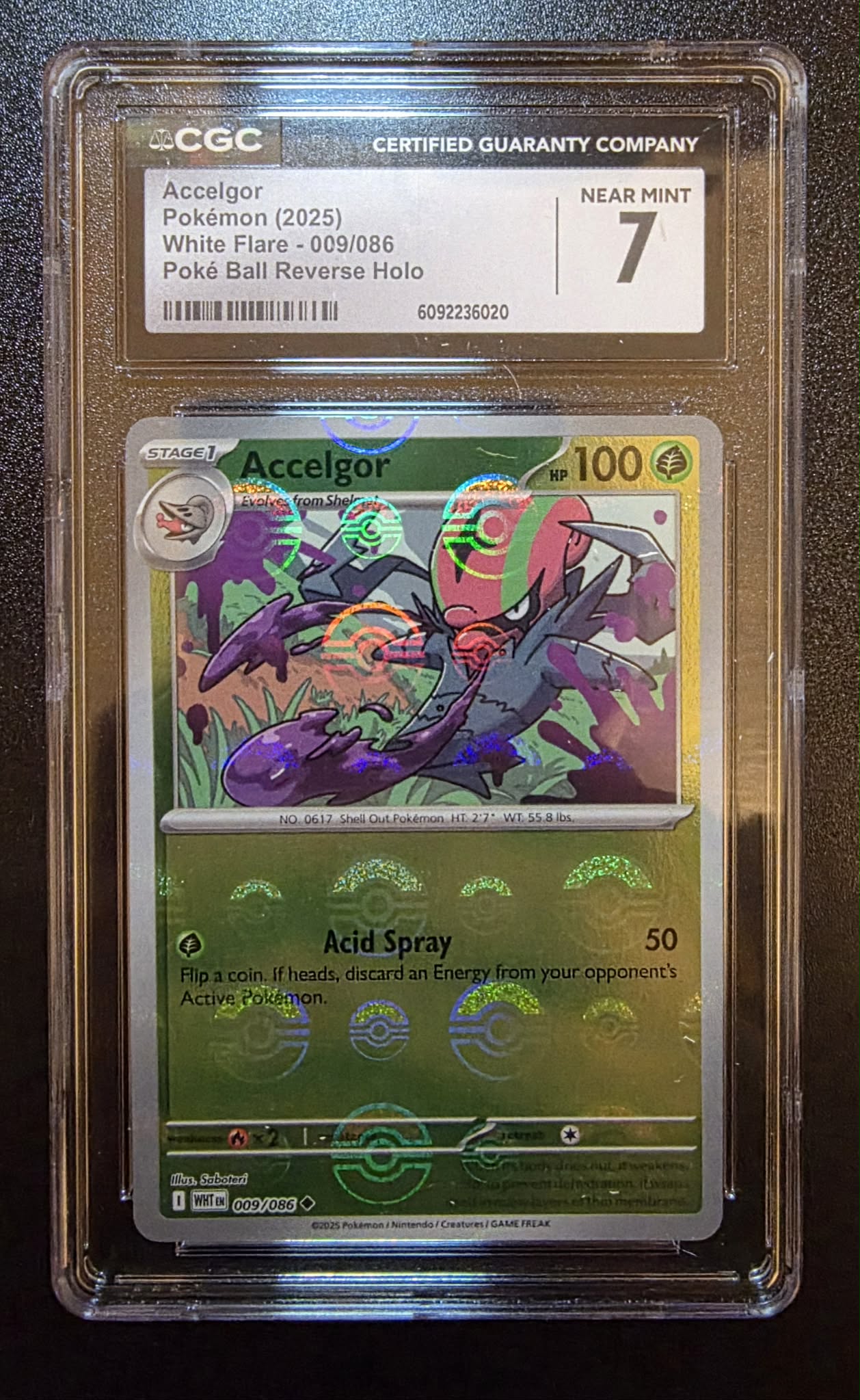 Accelgor, White Flare 009/086, Poke Ball Reverse Holo