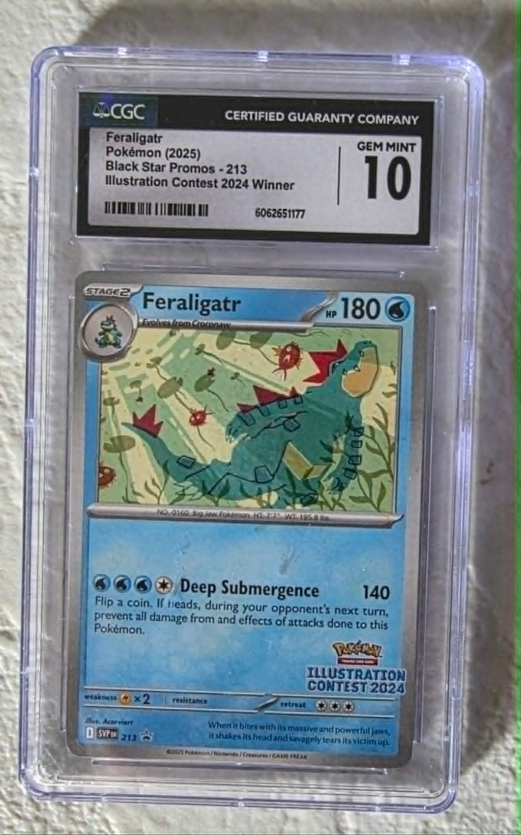 Feraligatr, Black Star Promo 213, Illustration Contest Winner 2024