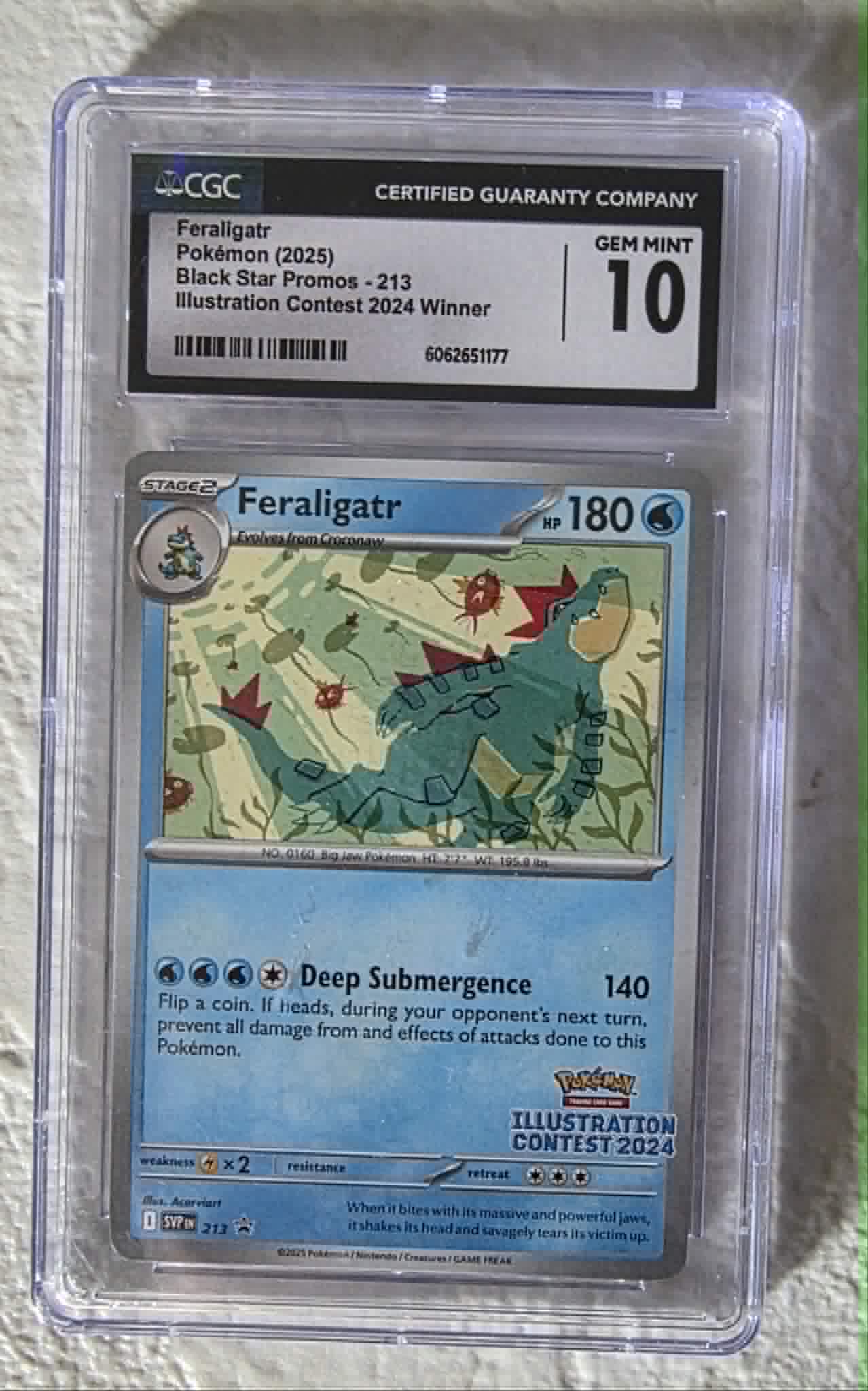 Feraligatr, Black Star Promo 213, Illustration Contest Winner 2024
